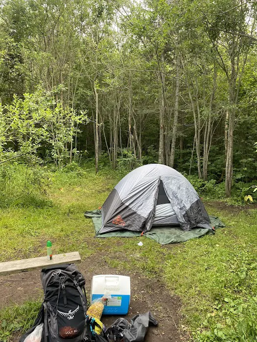 North Carlson Pond Camp Picture 9