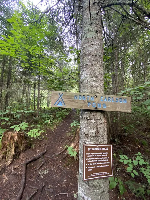 North Carlson Pond Camp Picture 2