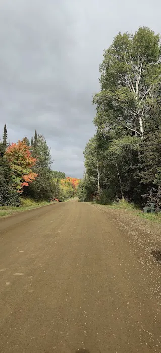 North Carlson Pond Camp Picture 6