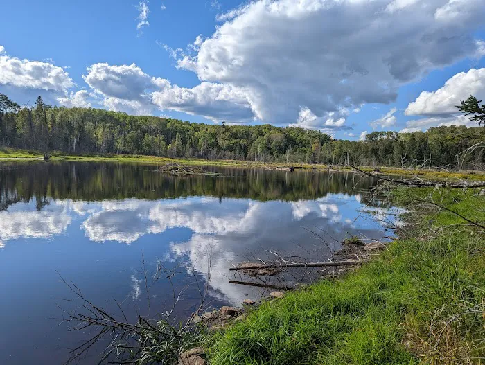 North Carlson Pond Camp Picture 8
