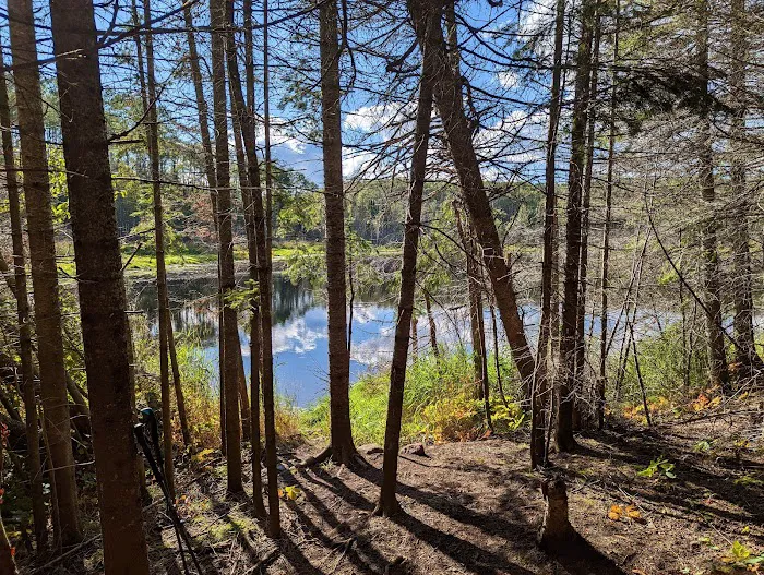 North Carlson Pond Camp Picture 5