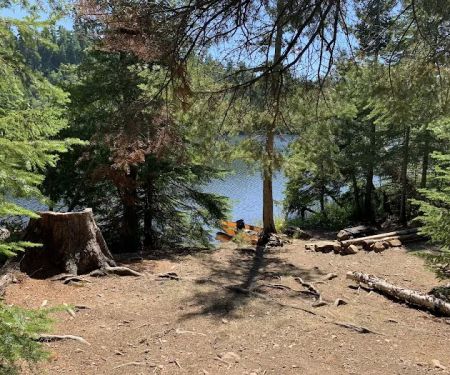 BWCA Campsite #707