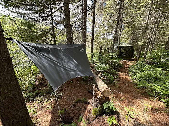 BWCA Campsite #713 Picture 3