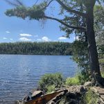 BWCA Campsite #703