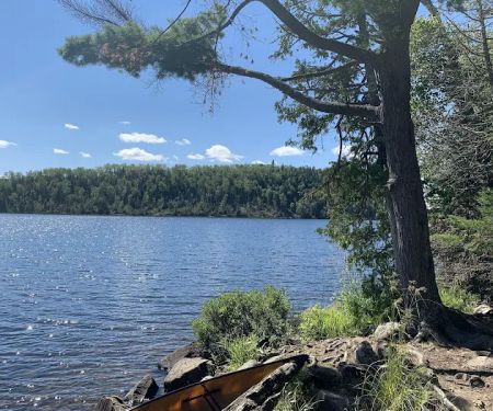 BWCA Campsite #703