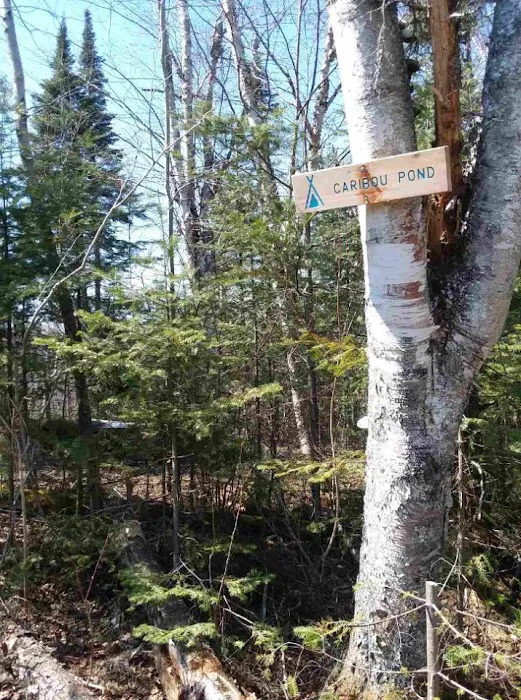 Woodland Caribou Pond Camp Picture 5