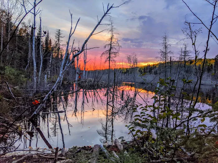 Woodland Caribou Pond Camp Picture 7