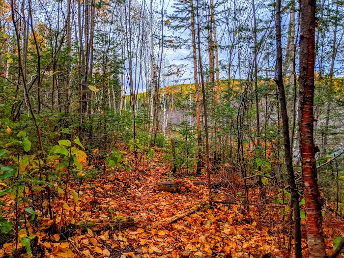 Woodland Caribou Pond Camp Picture 8