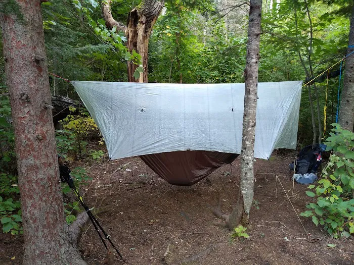 Jackson Creek Camp Picture 2