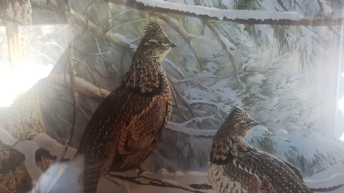 Jackson Creek Camp Picture 3