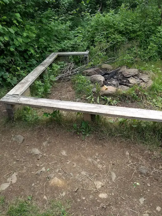 Andy Creek Camp Picture 2