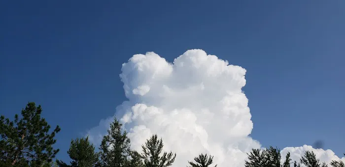 Otter Lake Campsite Picture 2