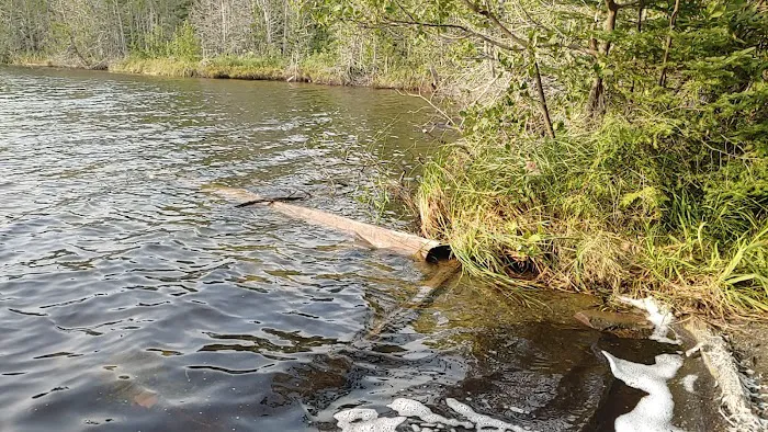 Otter Lake Campsite Picture 6