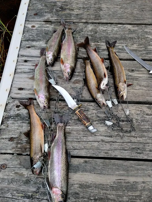 Esther Lake Campground Picture 8