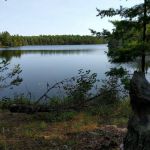 Brown Lake B3 Backcountry Campsite