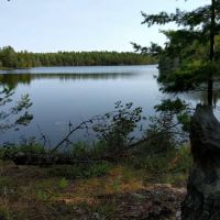 Brown Lake B3 Backcountry Campsite ico