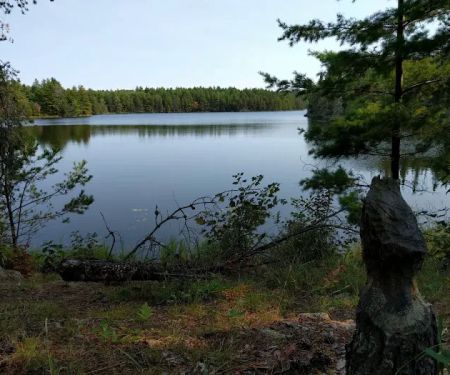 Brown Lake B3 Backcountry Campsite