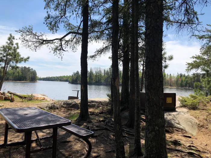 Johnson Bay N14 Campsite Picture 6