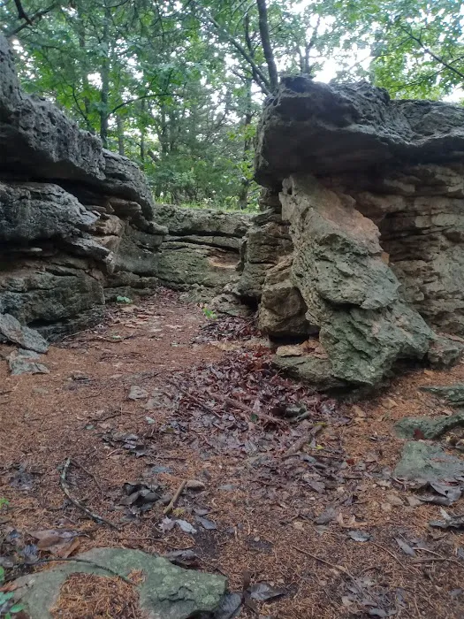 Sunset Point Campground Picture 3