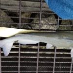 Outlet Channel Campground