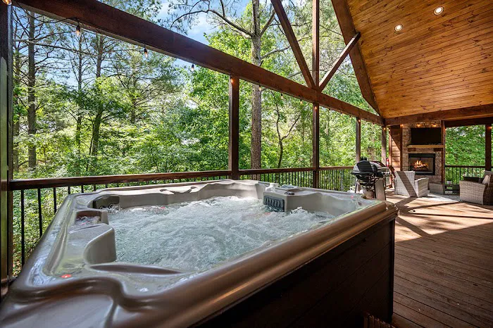 Cabin rental Picture 3