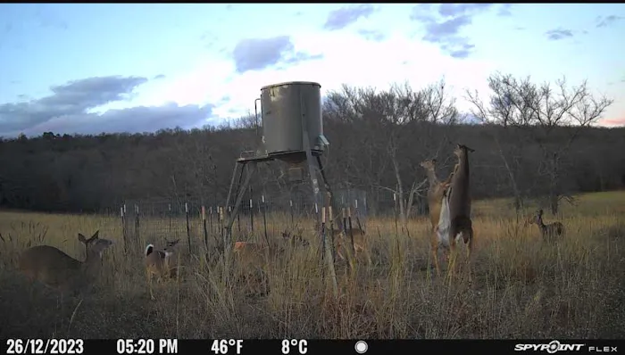 Scaria Ranch Picture 1