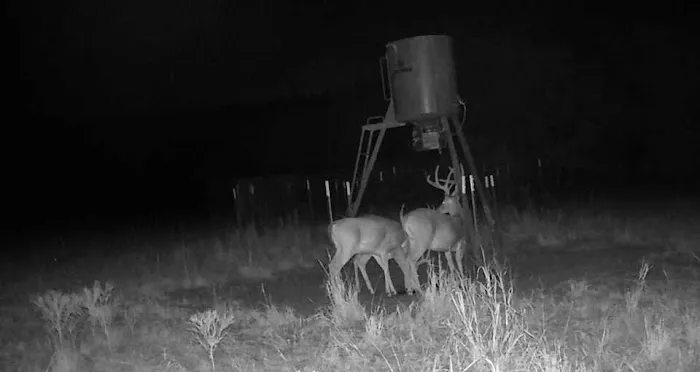 Scaria Ranch Picture 2