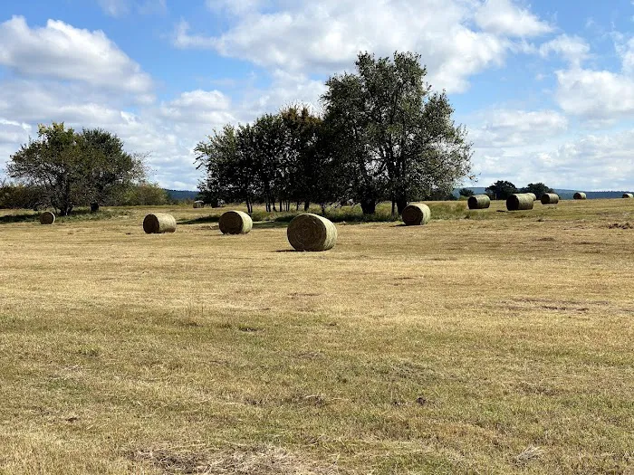Scaria Ranch Picture 7