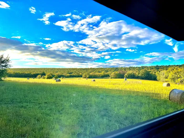 Scaria Ranch Picture 4