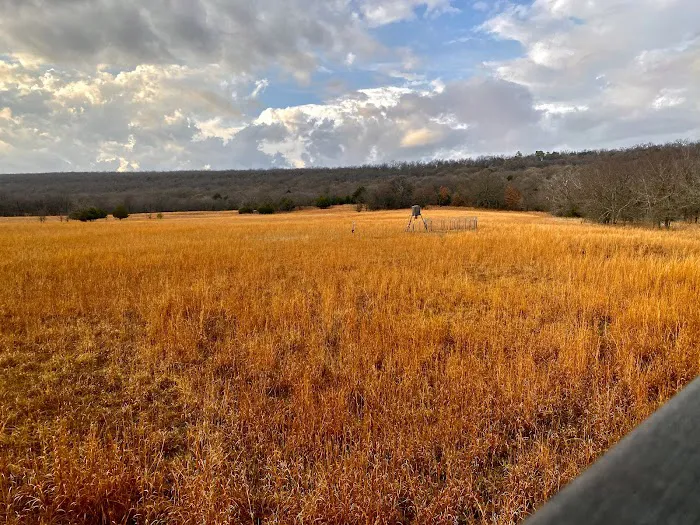 Scaria Ranch Picture 3