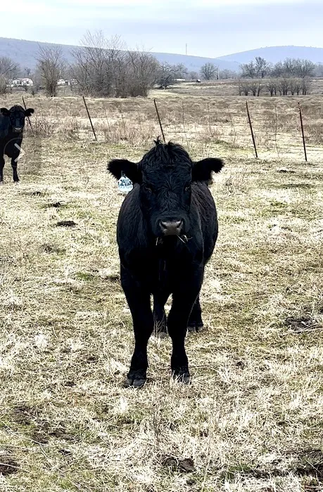 Scaria Ranch Picture 9