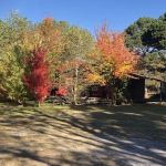 McGee Creek Birchfield’s Cabins By the Lake