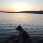 Elm Point Lake Recreation, tent & RV camping, & fishing