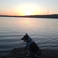 Elm Point Lake Recreation, tent & RV camping, & fishing ico