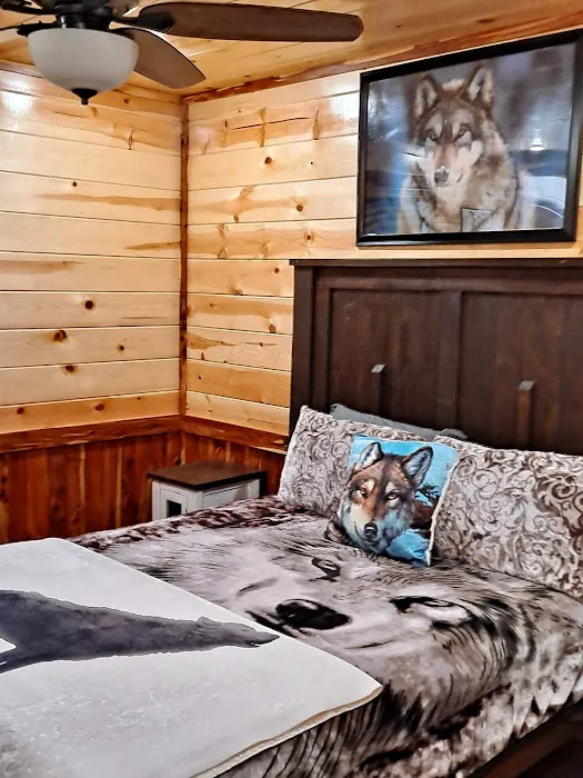Hidden Wolf Picture 3