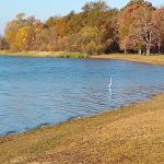 Camp Kiwanis on Pat Mayse Lake