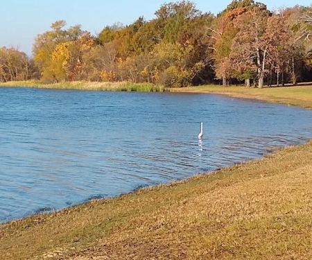 Camp Kiwanis on Pat Mayse Lake
