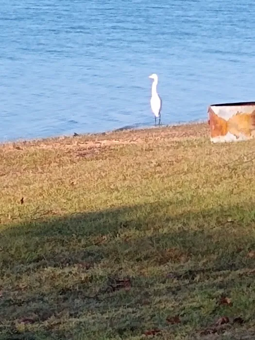 Camp Kiwanis on Pat Mayse Lake Picture 2