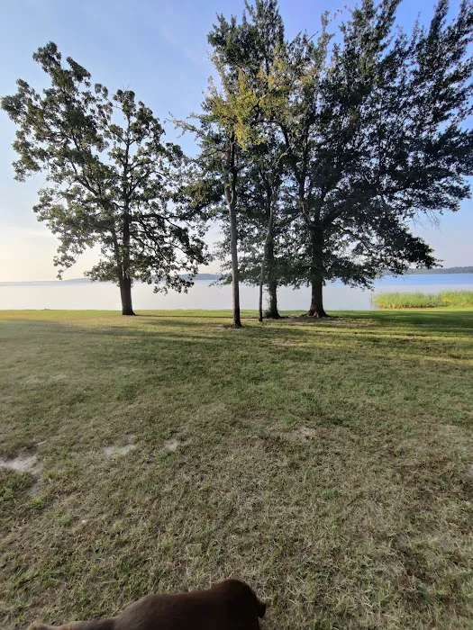 Camp Kiwanis on Pat Mayse Lake Picture 4