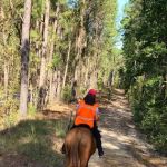 Ahtus Melder Campground