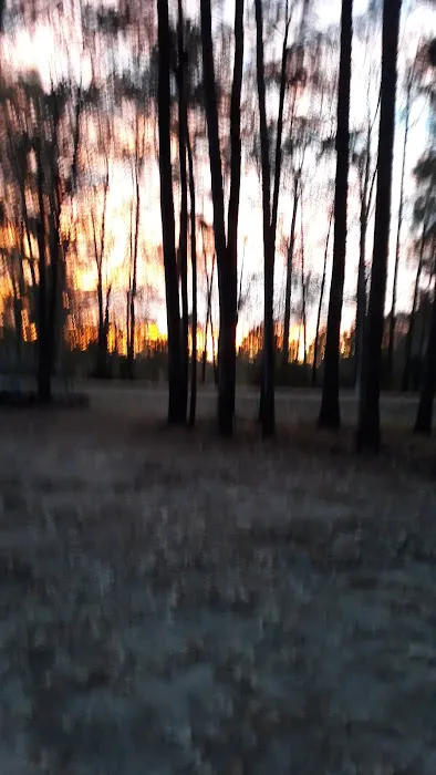 Ahtus Melder Campground Picture 7