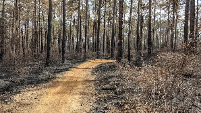Loran Camp and Trailhead Picture 3