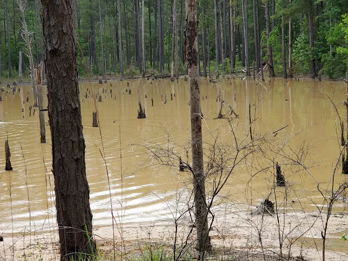 Loran Camp and Trailhead Picture 7