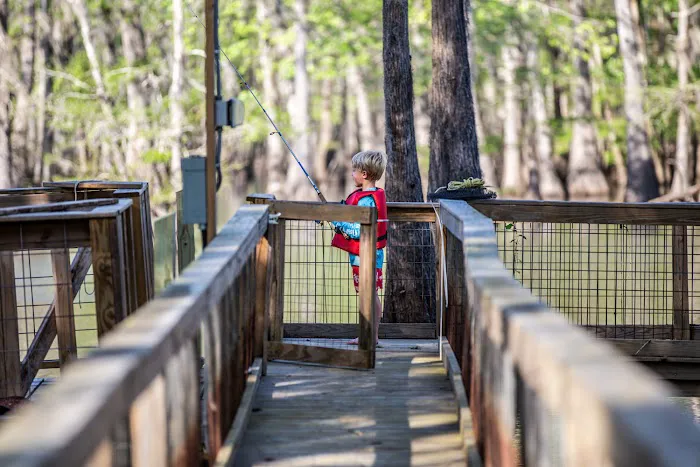 Iatt Lake Cabins and Kayaks Picture 2