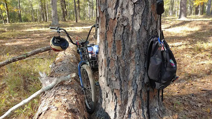 Saddle Bayou Primitive Campground Picture 4