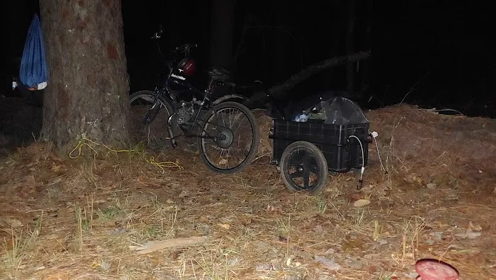 Saddle Bayou Primitive Campground Picture 3