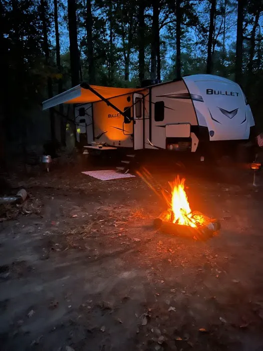 Saddle Bayou Primitive Campground Picture 5