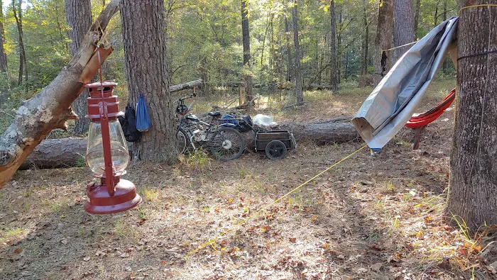 Saddle Bayou Primitive Campground Picture 2