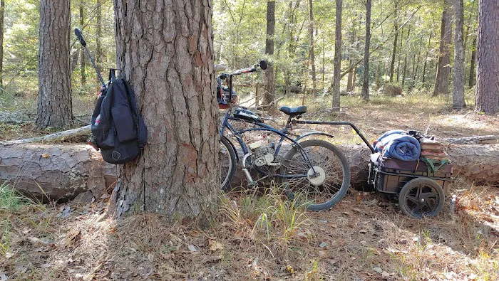 Saddle Bayou Primitive Campground Picture 8