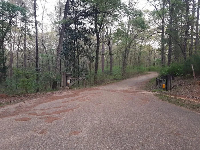 Kincaid Primitive Campground Picture 3